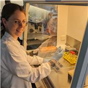 Tutor universitaria impartisce lezioni di Biologia